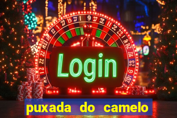 puxada do camelo jogo do bicho